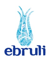 Ebruli İnşaat